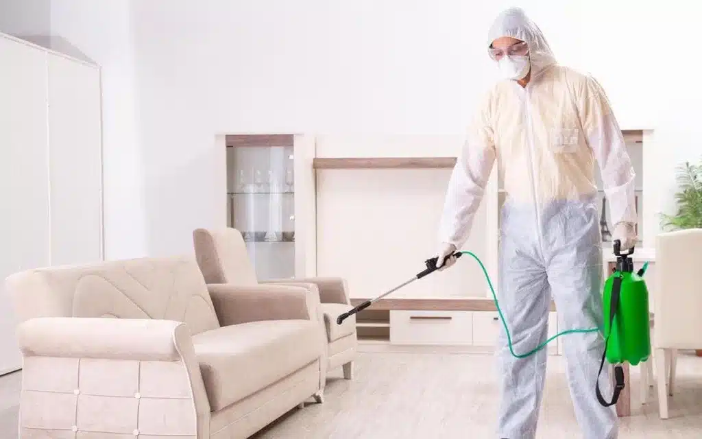 شركة مكافحة بق الفراش بالدمام شركة مكافحة بق الفراش بالدمام