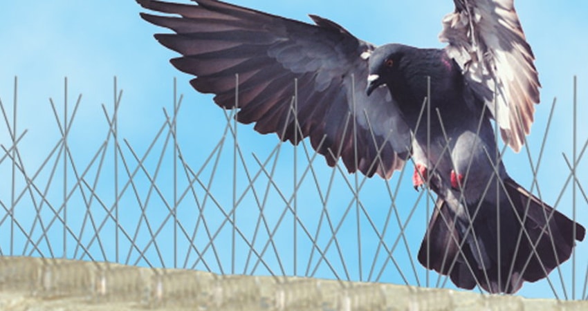 شركة تركيب طارد حمام بالخبر 0583136196 شركة تركيب طارد حمام بالخبر 0583136196